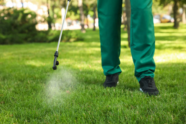 Best Bed Bug Extermination  in Mayodan, NC