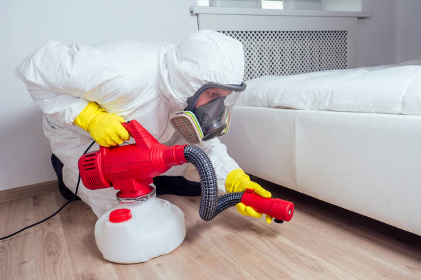 Best Residential Pest Control  in Mayodan, NC
