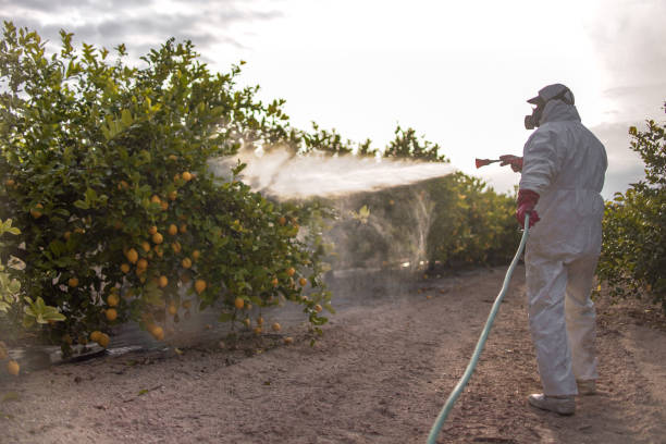 Best Pest Control Near Me  in Mayodan, NC