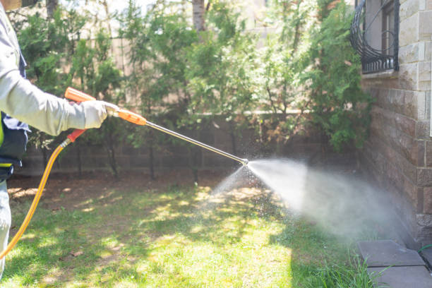 Best Rat Extermination Near Me  in Mayodan, NC