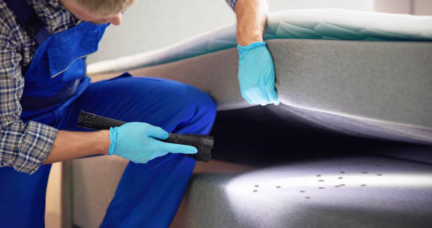 Best Best Pest Control Companies  in Mayodan, NC
