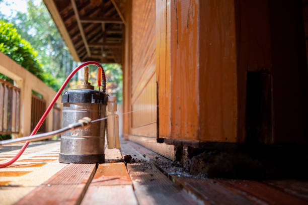 Best Emergency Pest Control  in Mayodan, NC
