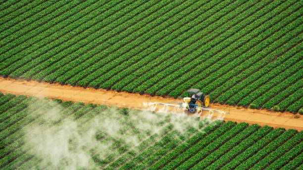 Best Mosquito Control Services  in Mayodan, NC