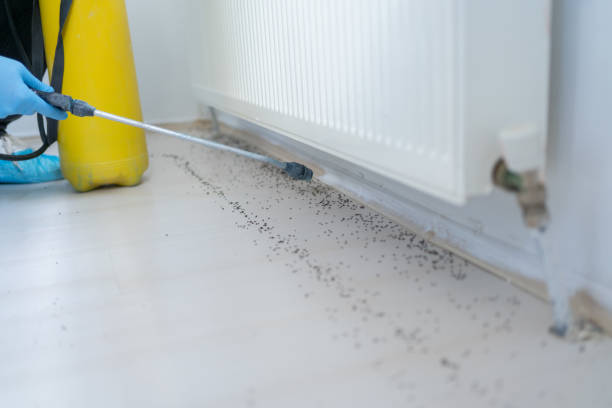 Mayodan, NC Pest Control Company
